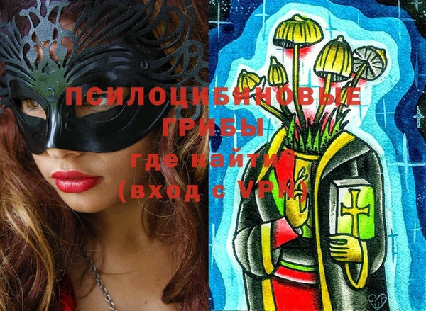 МДПВ Нягань