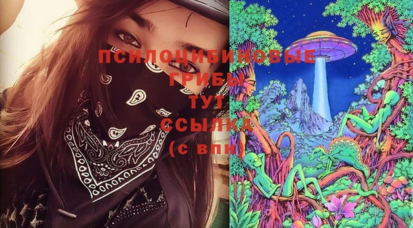 МДПВ Нягань