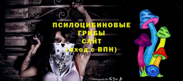 герыч Няндома