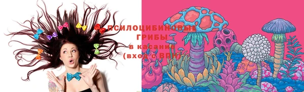 герыч Няндома